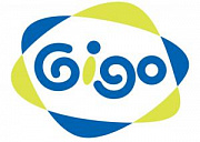 Конструкторы Gigo (Гиго)